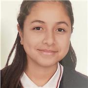Profesora joven da clases a niños de primaria/eso